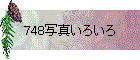 748写真いろいろ