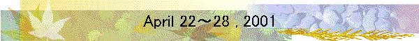 April 22～28 , 2001