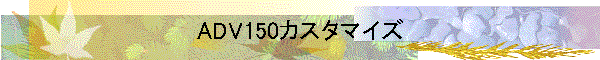 ADV150カスタマイズ