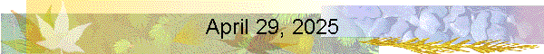 April 29, 2025