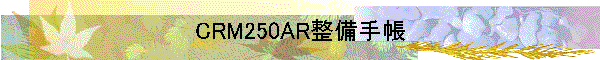 CRM250AR整備手帳