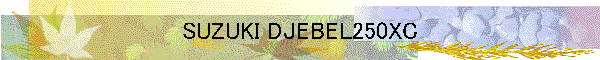 SUZUKI DJEBEL250XC