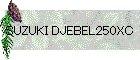 SUZUKI DJEBEL250XC