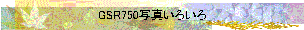 GSR750写真いろいろ