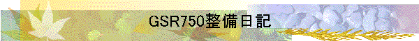 GSR750整備日記