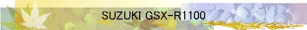 SUZUKI GSX-R1100