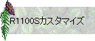 R1100Sカスタマイズ
