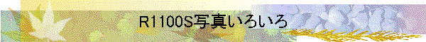R1100S写真いろいろ