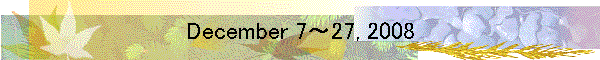 December 7～27, 2008