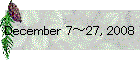December 7～27, 2008