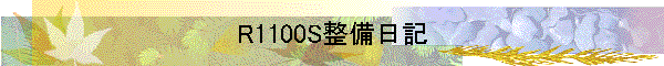 R1100S整備日記