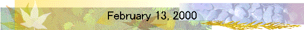 February 13, 2000