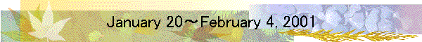 January 20～February 4, 2001