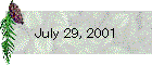 July 29, 2001
