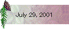 July 29, 2001
