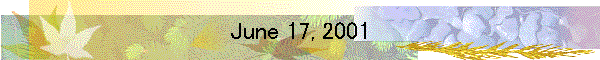 June 17, 2001