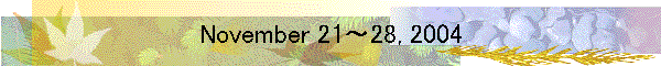 November 21～28, 2004