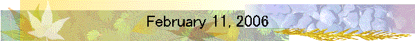 February 11, 2006