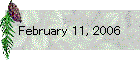 February 11, 2006