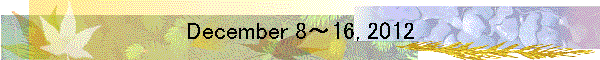 December 8～16, 2012