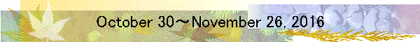 October 30～November 26, 2016