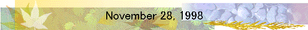 November 28, 1998