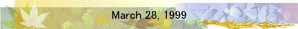 March 28, 1999