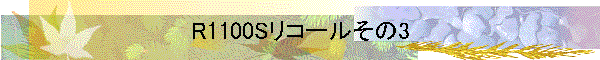 R1100Sリコールその3
