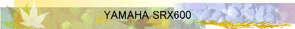 YAMAHA SRX600