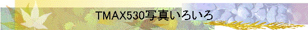 TMAX530写真いろいろ