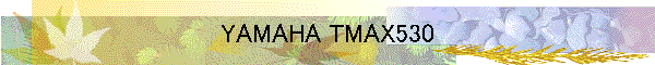 YAMAHA TMAX530