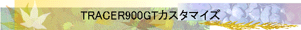 TRACER900GTカスタマイズ