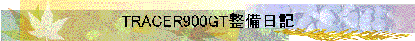 TRACER900GT整備日記