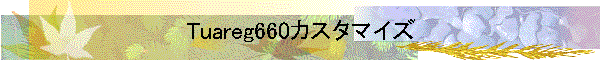 Tuareg660カスタマイズ
