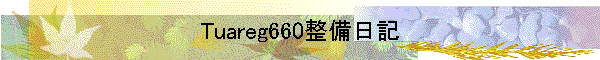 Tuareg660整備日記