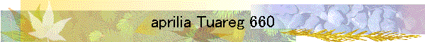aprilia Tuareg 660