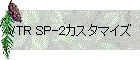 VTR SP-2カスタマイズ