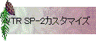 VTR SP-2カスタマイズ