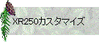 XR250カスタマイズ