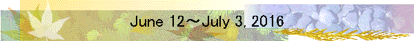 June 12～July 3, 2016