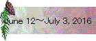 June 12～July 3, 2016
