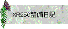 XR250整備日記