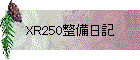 XR250整備日記
