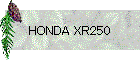 HONDA XR250
