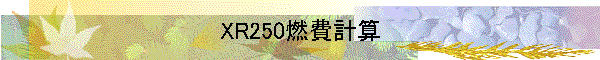 XR250燃費計算