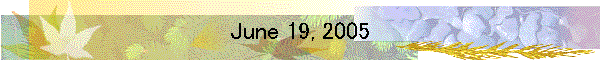 June 19, 2005