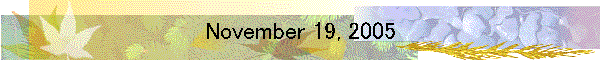 November 19, 2005