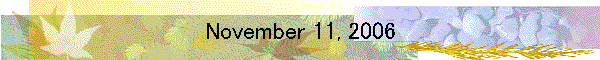 November 11, 2006