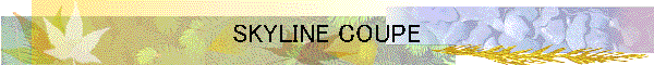 SKYLINE COUPE