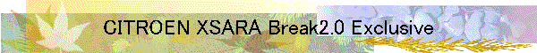 CITROEN XSARA Break2.0 Exclusive